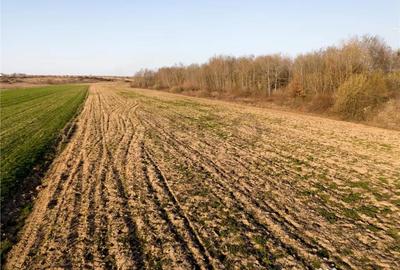 Teren în Central - 7