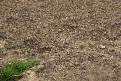 Teren de 1000 mp, în Titu - 3