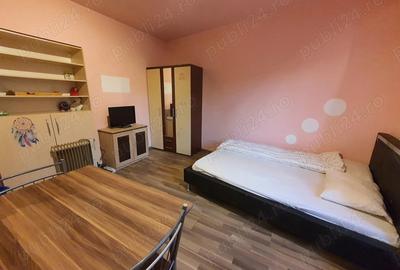 Garsonieră semidecomandată în Traian - 3