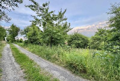 Spațiu comercial, în Central - 4