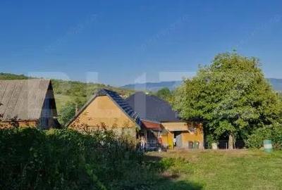 Casă cu 2 camere cu Teren 2400 Mp în Central - 3