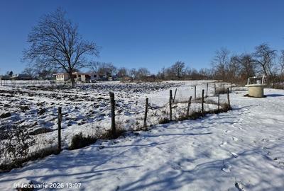 Teren de 1000 mp, în Nicșeni - 1