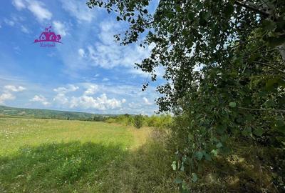 Teren de vanzare in Meziad. - 1