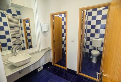 Vila de inchiriat Cismigiu Stirbei Voda - 15