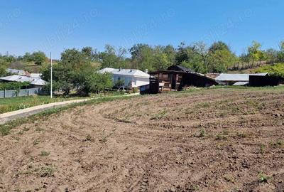 Casă cu 3 camere cu Teren 5000 Mp în Odaia Manolache - 3