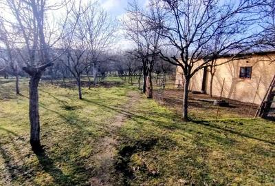 Casă cu 3 camere cu Teren 2900 Mp în Lunca - 1