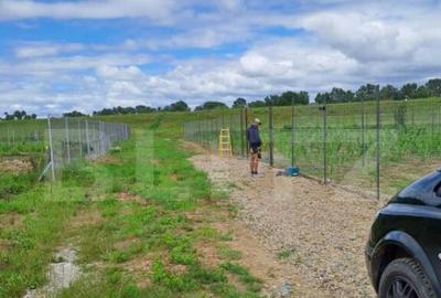 Teren de vanzare, 2400 mp, zona hotel Dana - 4