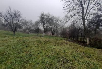 Casă cu 1 camere cu Teren 940 Mp în Central - 2