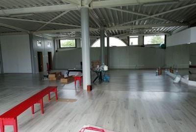 Spațiu comercial, de 60 mp, în Narcisa - 1