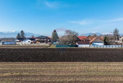 Teren Construcții intravilan de 9000 mp, în Stupini - 14