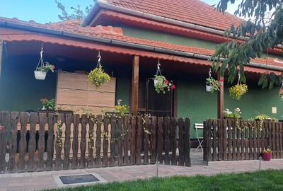 Casă cu 3 camere în Mehala - 1