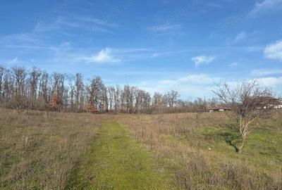 Teren 10.009 mp cu deschidere 70 m vedere la lac ?i padure - 2