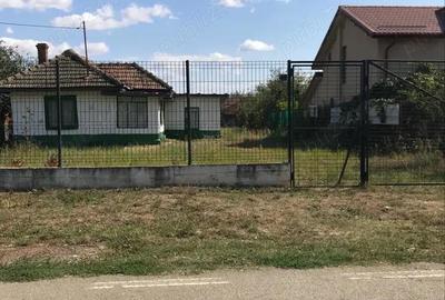 Casă cu Teren 803 Mp în Balotești - 7