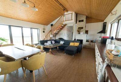 Teren 9.4 ha extravilan + casa 230 mp - 8