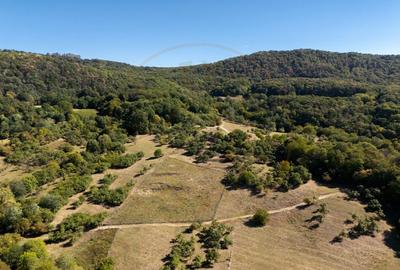 Terenuri 12.225 mp - Ramnicu Valcea, Aranghel - 10