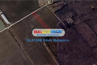 Buftea 8.601 Mp str. Aviatiei - 4