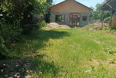 Casă cu 2 camere în Lipănești - 1