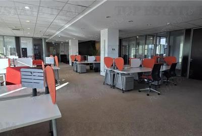 Splaiul Unirii - TImpuri Noi inchiriere spatiu birouri 7 locuri de parcare terasa - 8