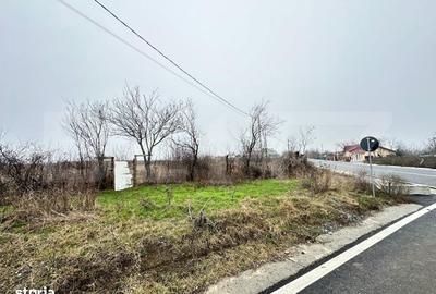 Teren de 7200 mp, în Horlești - 1