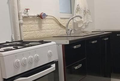 Apartament cu 2 camere semidecomandat, mobilat în Aleea Trandafirilor - 7