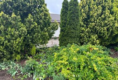 Casă individuală cu 6 camere cu Teren 4265 Mp în Izbiceni - 6