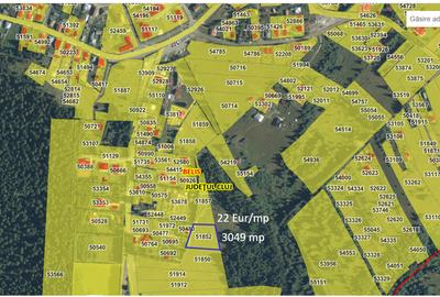 Teren agricol extravilan de 3000 mp, în Beliș - 1