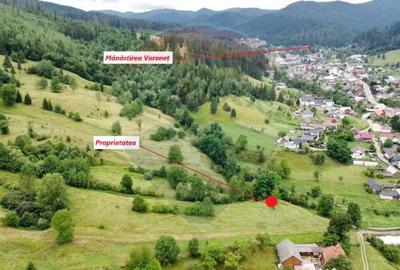 Teren de 6865 mp, în Voroneț - 17