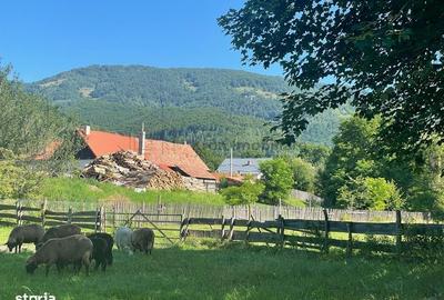 Spațiu comercial, în Moieciu - 3
