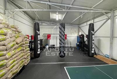 Vila superba central Carpinis - 17