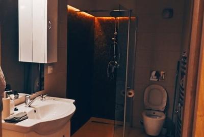 2 camere Banat, Decomanddat / mobilat / utilat , liber / PARCARE ! - 13