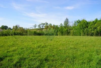 Teren Construcții intravilan de 33137 mp, în Sud-Vest - 8