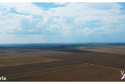 Teren de 9300 mp, în Frumușani - 4