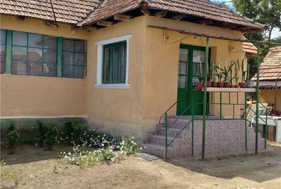 Casă cu 3 camere cu Teren 10000 Mp în Gherteniș - 9