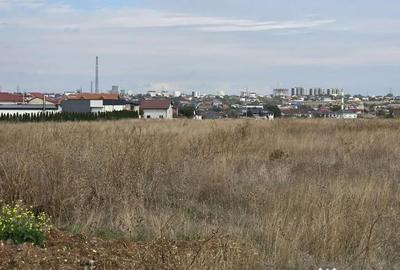 Teren de 35000 mp, în Agigea - 13