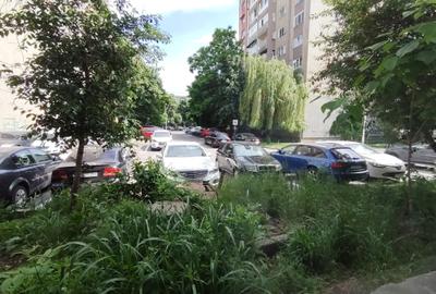 Garsonieră semidecomandată în Craiovița Nouă - 9