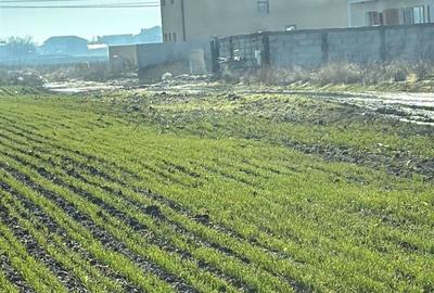 Teren Construcții intravilan de 374 mp, în Berceni - 3