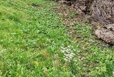 Casă cu 2 camere în Pietrari - 3