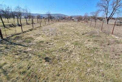 Spațiu comercial, în Lăzărești (Schitu Golești) - 2