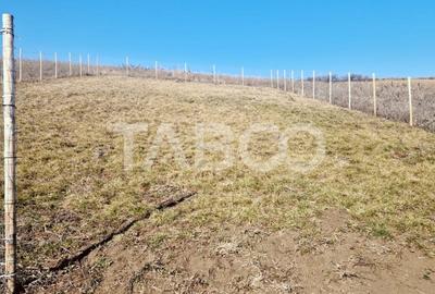 Teren de vanzare intravilan cu utilitati 508 mp Sura Mare - 2