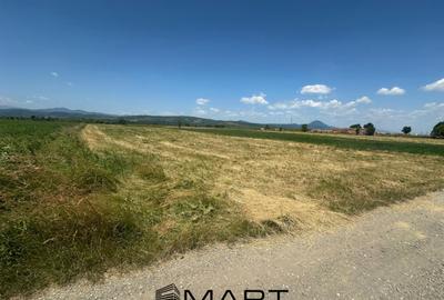 Teren de 5000 mp, în Râșnov Romacril - 4