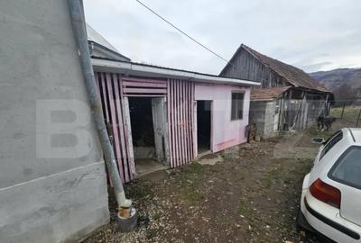 Casă cu 3 camere cu Teren 2805 Mp în Central - 1