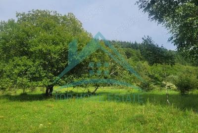 Teren pentru cabana pensiune zona Lac Micesti! - 9