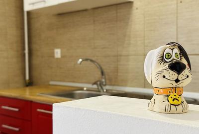 Apartament cu 2 camere decomandat, mobilat în Iosefin - 10