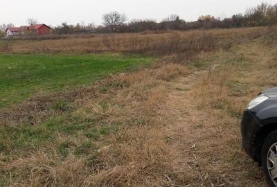 Vanzare teren intravilan Teghes -Domnesti Ilfov Vanzare teren intravilan Teghes -Domnesti Ilfov - 4