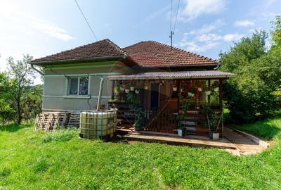 Casă individuală cu 3 camere cu Teren 9995 Mp în Ormindea - 23