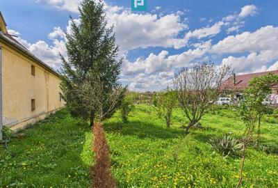 Teren 1300 mp, Beregsău Mare - 5