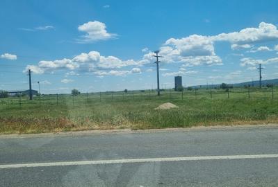 Teren Construcții intravilan de 10000 mp, în Nord