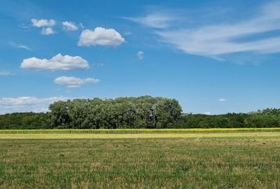 Loturi de teren 638 mp - curent tras la teren - Crevedia - 4