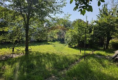 Casa solida din caramida, mobilata, garaj, teren generos - Tarcau - 3