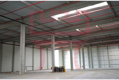 Module  de hala noi cu rampa, platforma betonata,  spatii birouri - 2